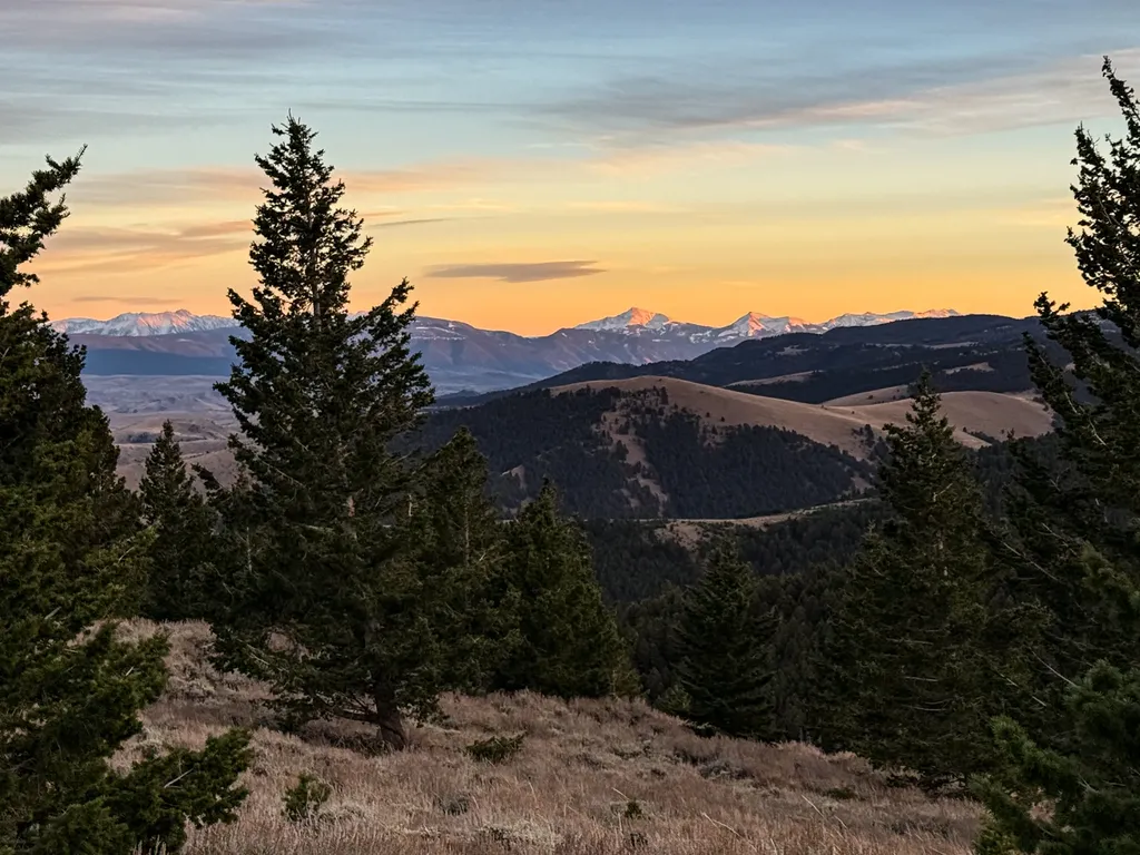 Nhn (160 Acres) Charcoal Creek Pony MT 59747
