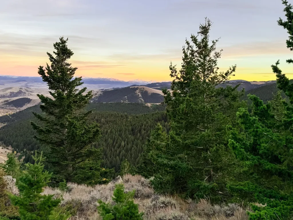 Nhn (160 Acres) Charcoal Creek Pony MT 59747