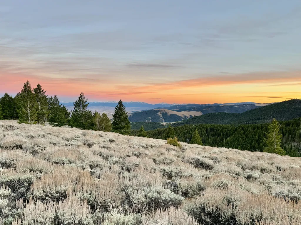 Nhn (160 Acres) Charcoal Creek Pony MT 59747