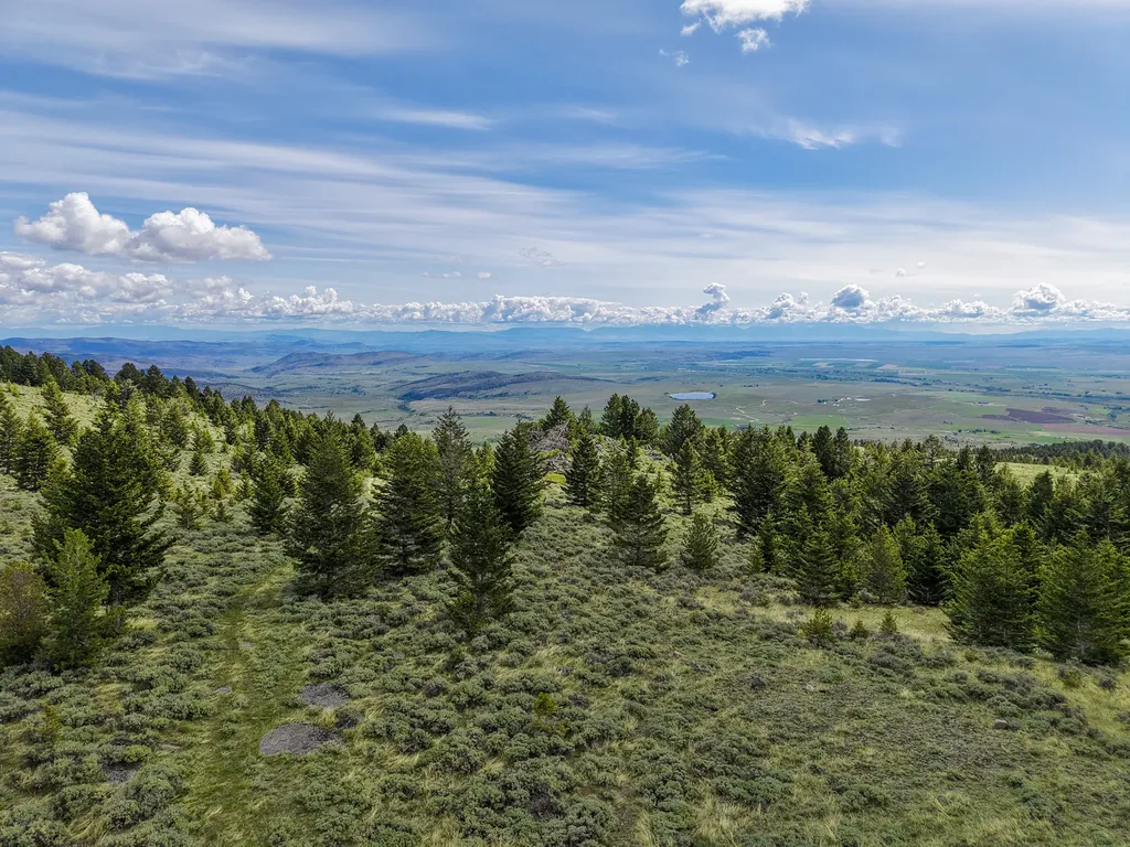 Nhn (160 Acres) Charcoal Creek Pony MT 59747