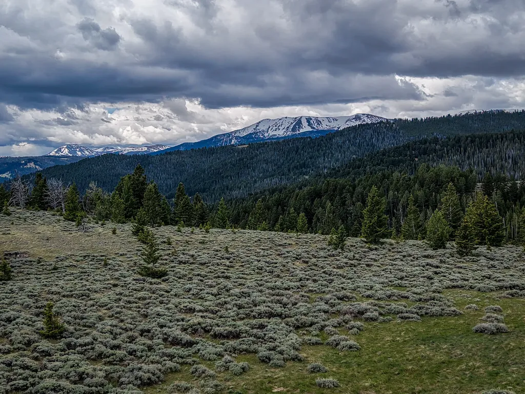 Nhn (160 Acres) Charcoal Creek Pony MT 59747