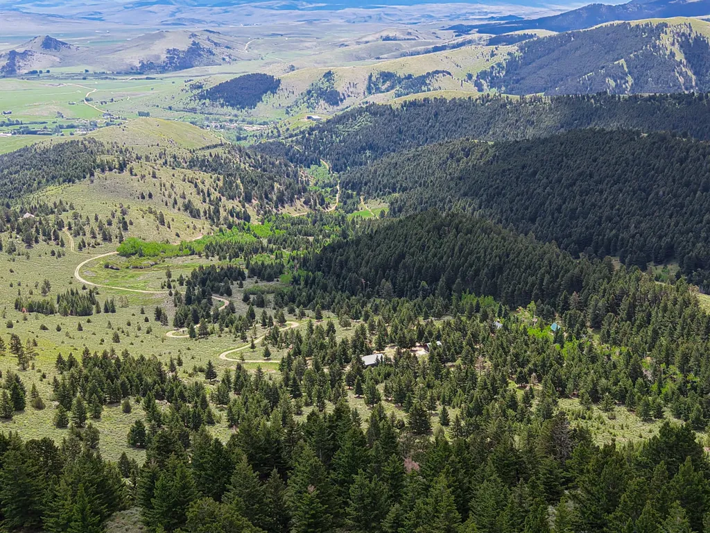 Nhn (160 Acres) Charcoal Creek Pony MT 59747