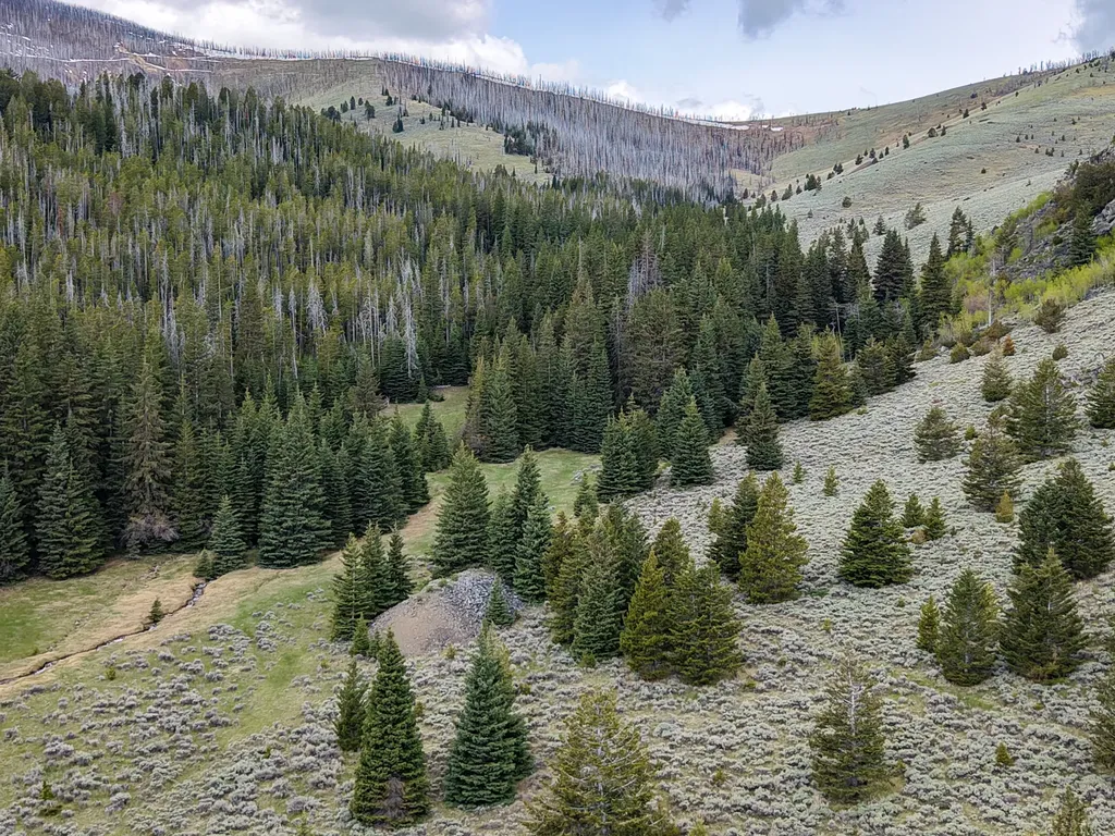 Nhn (160 Acres) Charcoal Creek Pony MT 59747