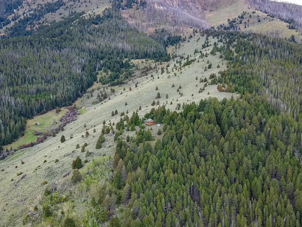 Nhn (160 Acres) Charcoal Creek Pony MT 59747