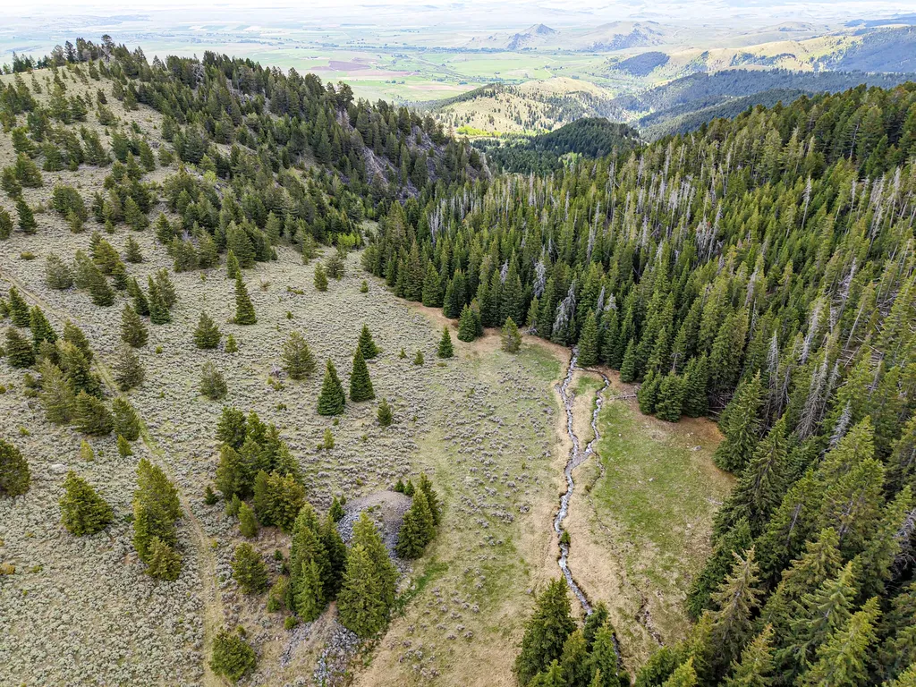 Nhn (160 Acres) Charcoal Creek Pony MT 59747
