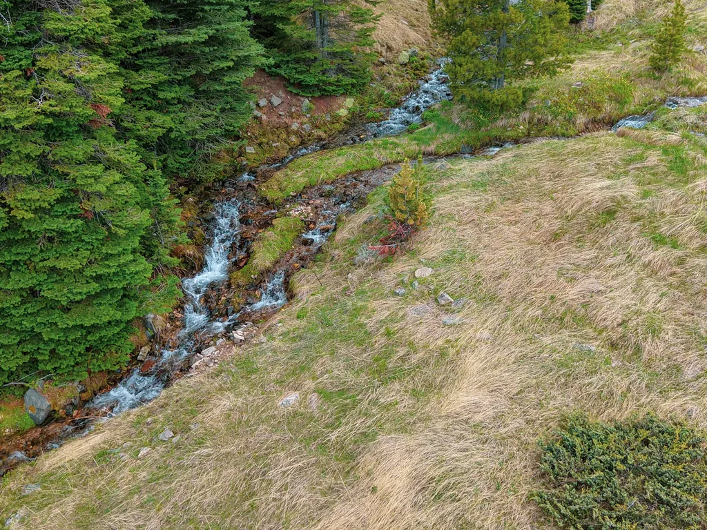 Nhn (160 Acres) Charcoal Creek Pony MT 59747