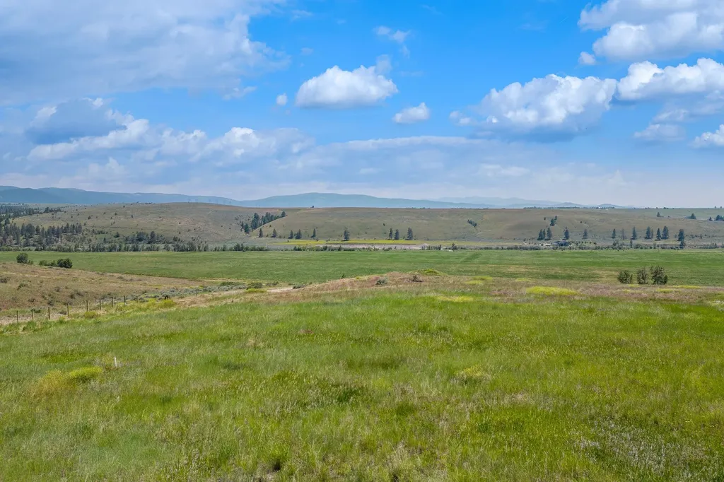 183 Turnstone Way Florence MT 59833