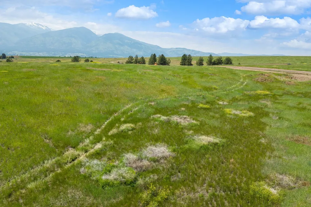 183 Turnstone Way Florence MT 59833