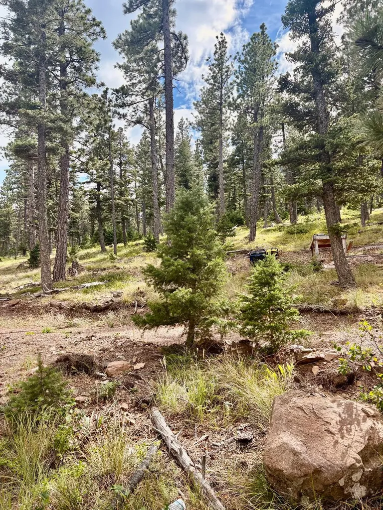 4535 Little Wolf Creek Road Wolf Creek MT 59648