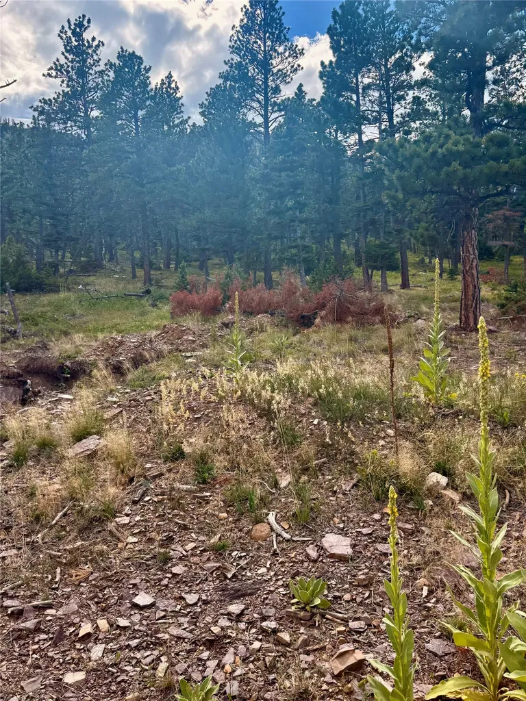 4535 Little Wolf Creek Road Wolf Creek MT 59648