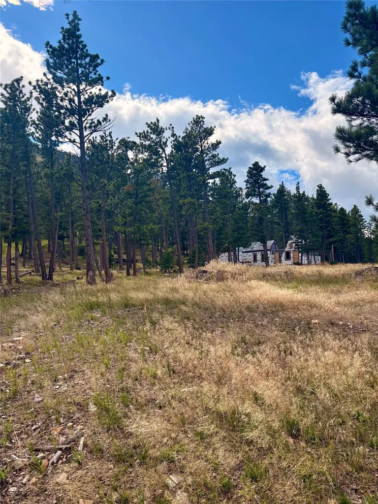 4535 Little Wolf Creek Road Wolf Creek MT 59648