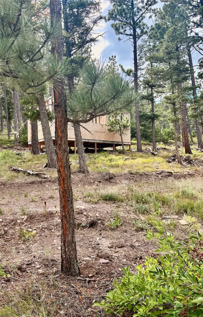 4535 Little Wolf Creek Road Wolf Creek MT 59648
