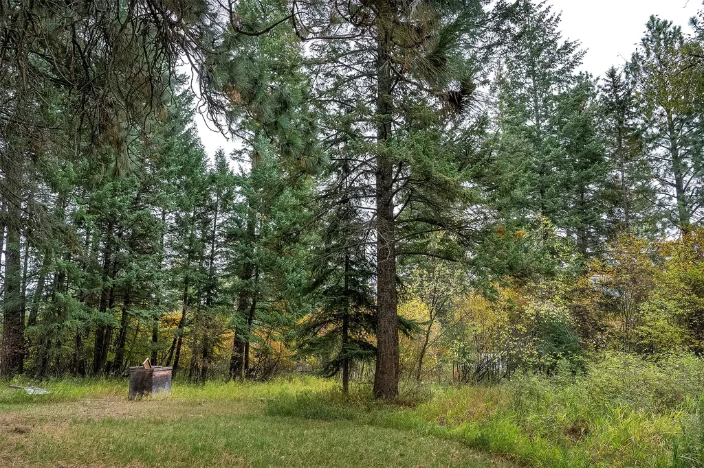 36 13th Street E Columbia Falls MT 59912