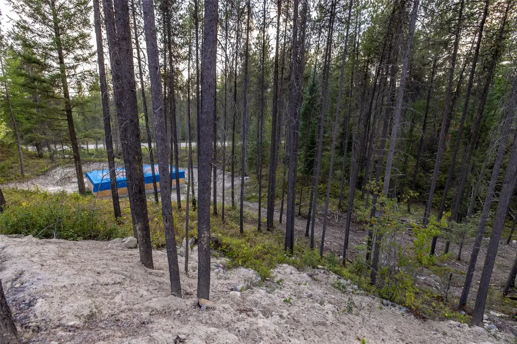 295 Tally Lake Road Whitefish MT 59937