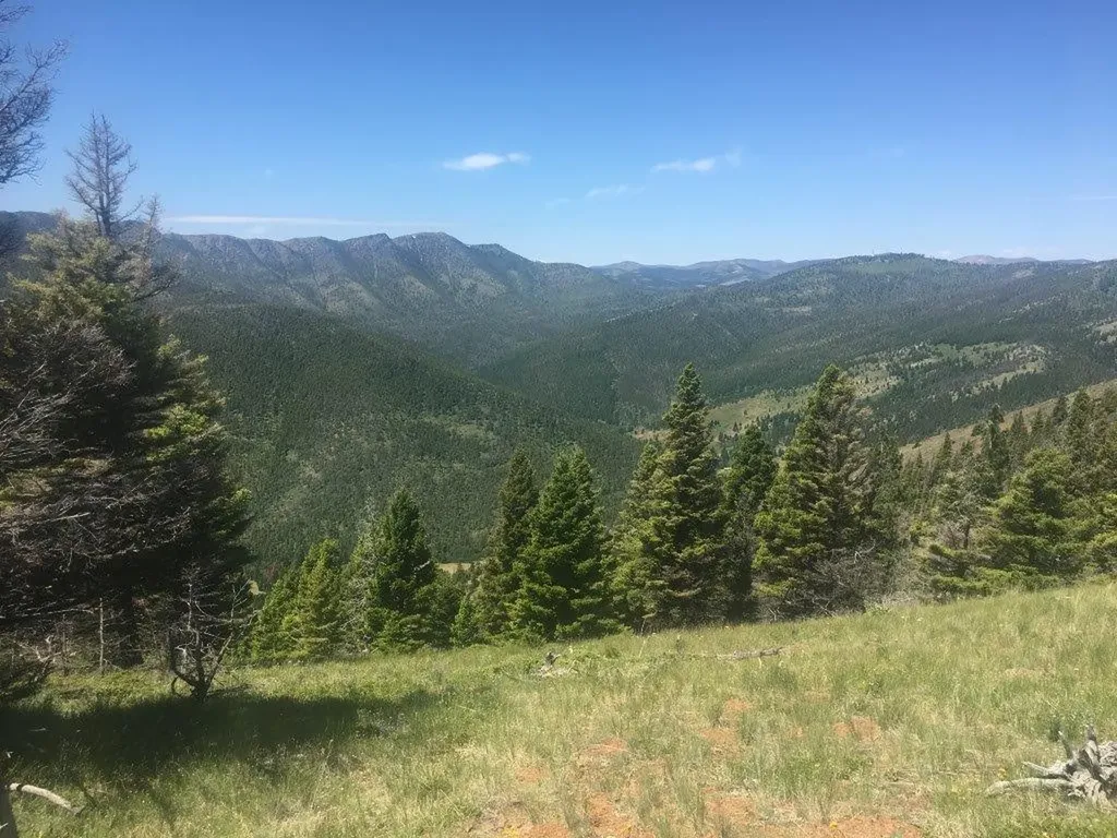 Tbd Bear Track Road Wolf Creek MT 59648