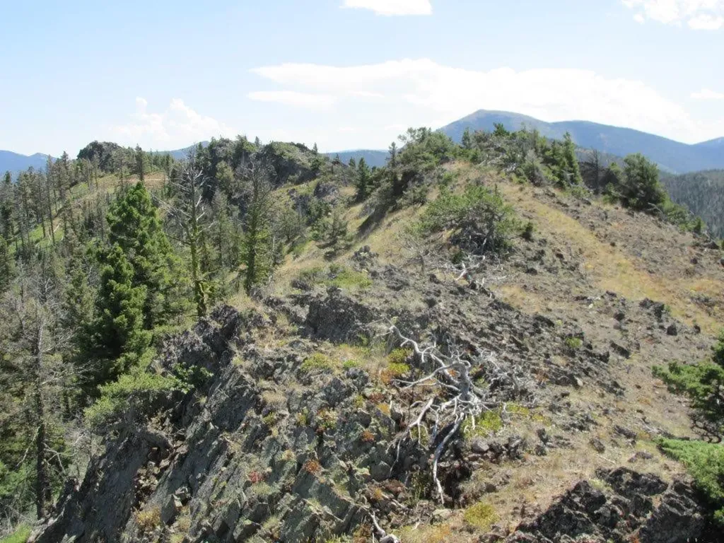 Tbd Bear Track Road Wolf Creek MT 59648