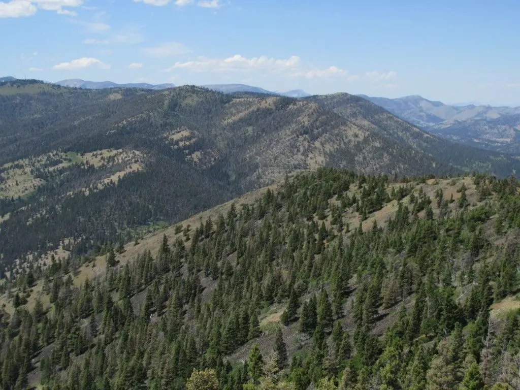 Tbd Bear Track Road Wolf Creek MT 59648