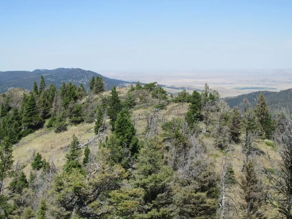 Tbd Bear Track Road Wolf Creek MT 59648