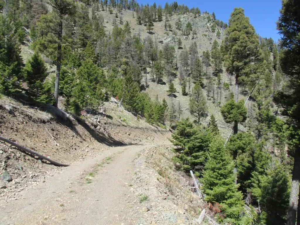 Tbd Bear Track Road Wolf Creek MT 59648