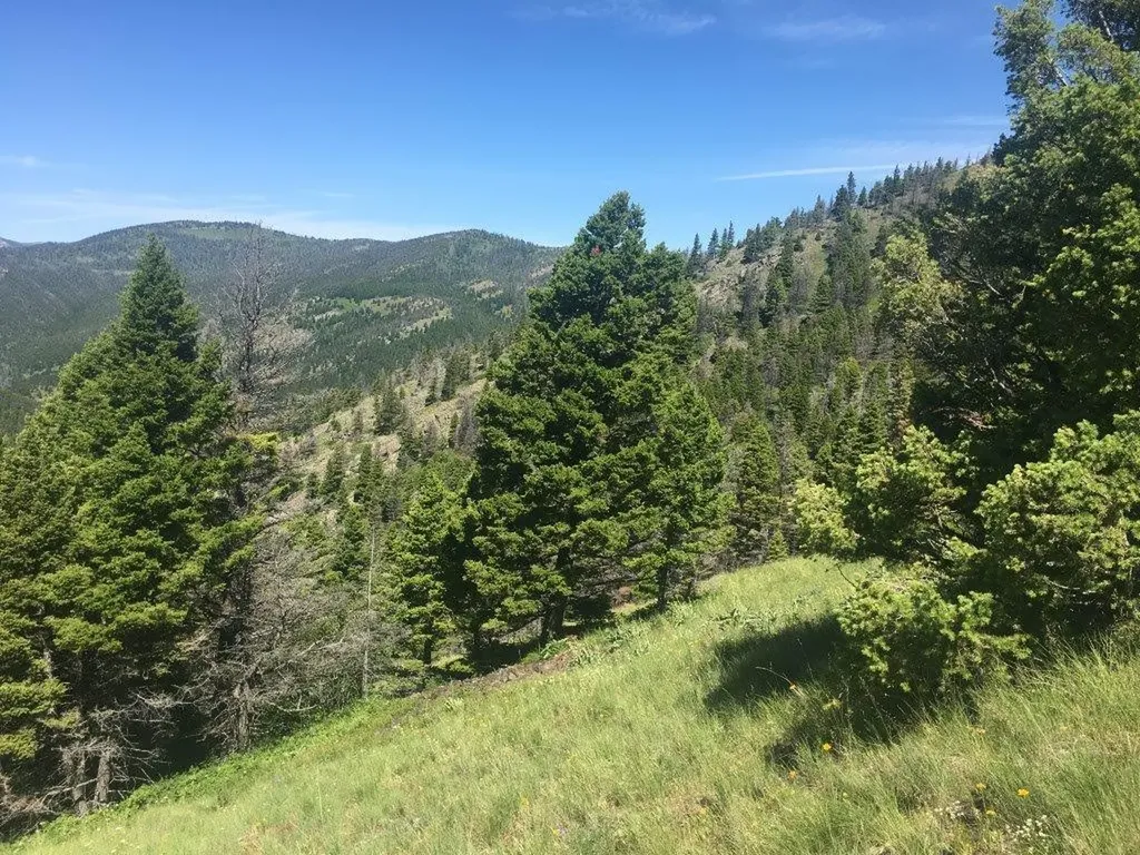 Tbd Bear Track Road Wolf Creek MT 59648