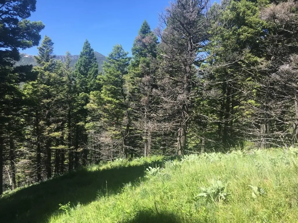 Tbd Bear Track Road Wolf Creek MT 59648
