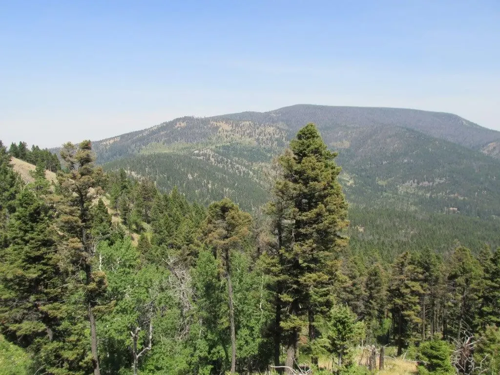 Tbd Bear Track Road Wolf Creek MT 59648