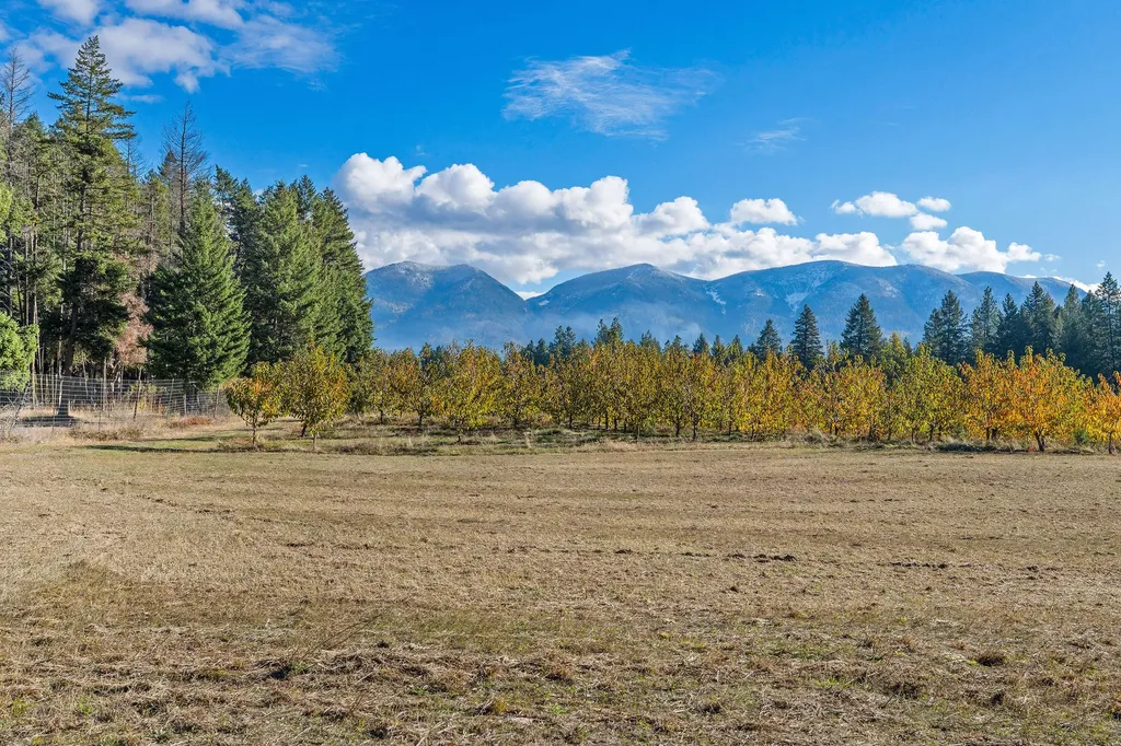 34310 Sweet Cherry Lane Polson MT 59860
