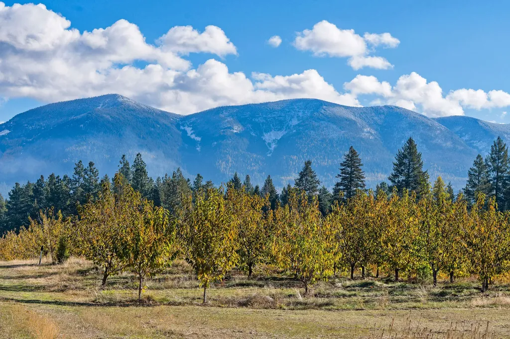 34310 Sweet Cherry Lane Polson MT 59860