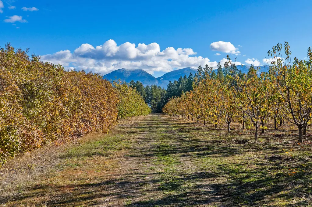 34310 Sweet Cherry Lane Polson MT 59860