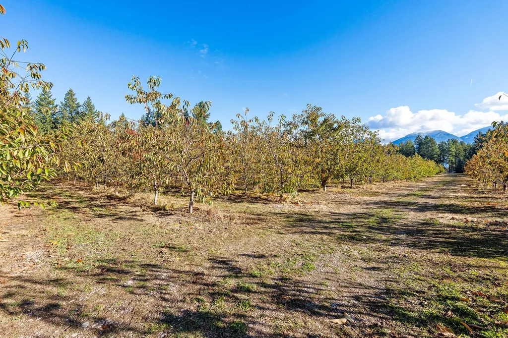 34310 Sweet Cherry Lane Polson MT 59860