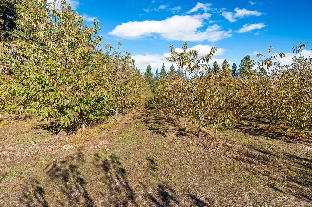 34310 Sweet Cherry Lane Polson MT 59860
