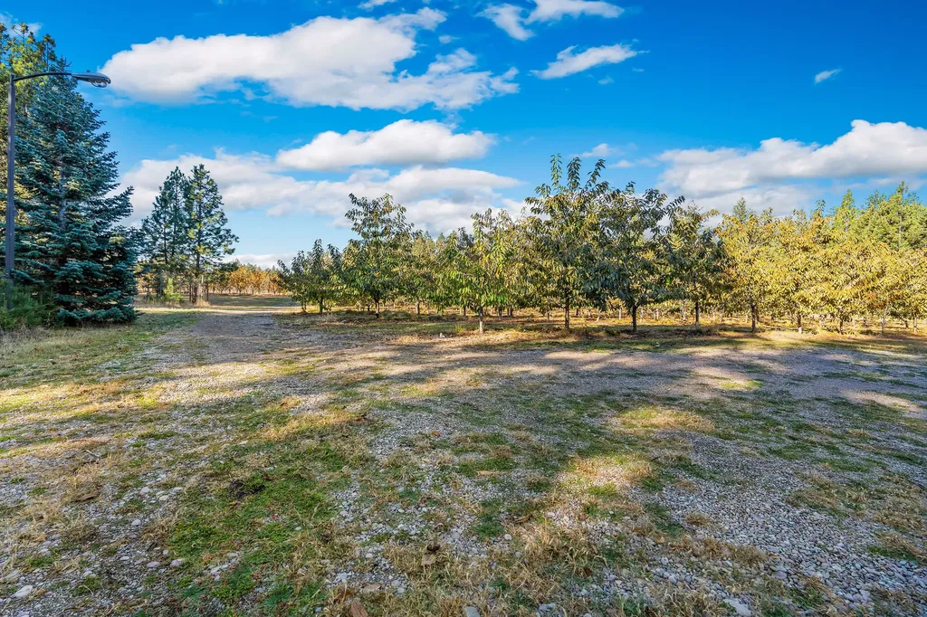 34310 Sweet Cherry Lane Polson MT 59860