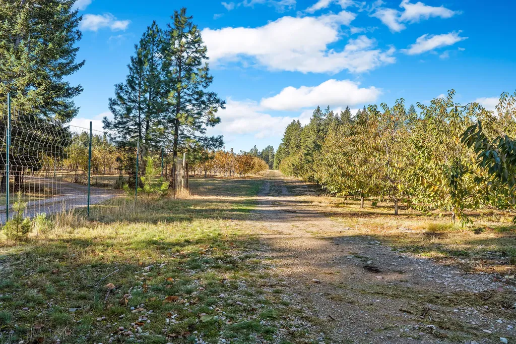 34310 Sweet Cherry Lane Polson MT 59860