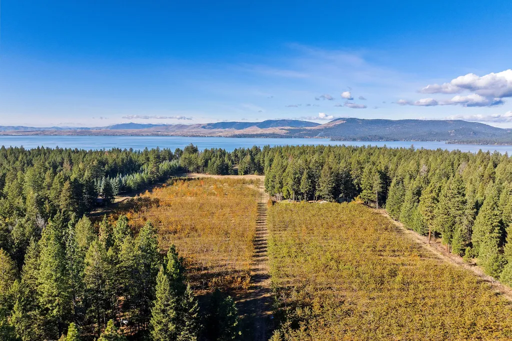 34310 Sweet Cherry Lane Polson MT 59860