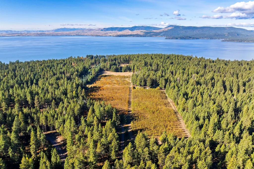 34310 Sweet Cherry Lane Polson MT 59860