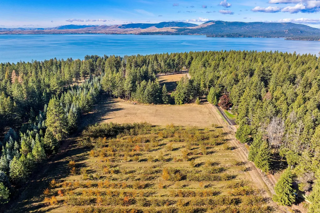 34310 Sweet Cherry Lane Polson MT 59860