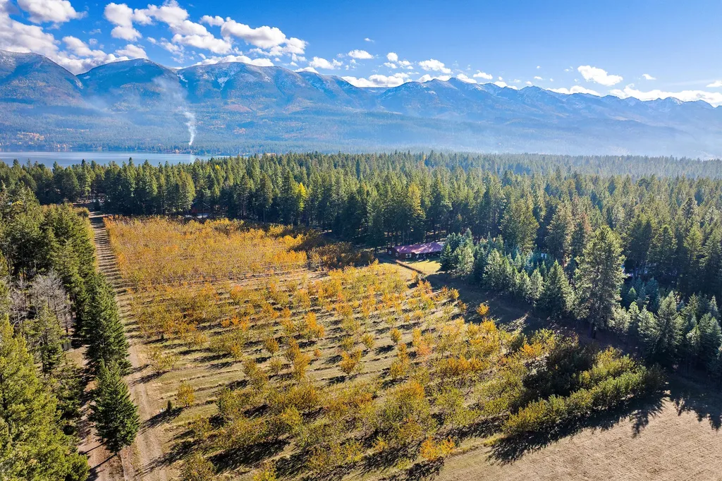 34310 Sweet Cherry Lane Polson MT 59860