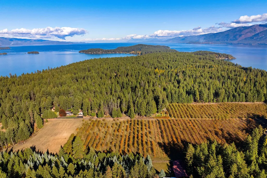 34310 Sweet Cherry Lane Polson MT 59860