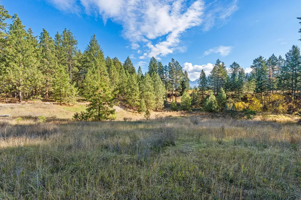 34310 Sweet Cherry Lane Polson MT 59860