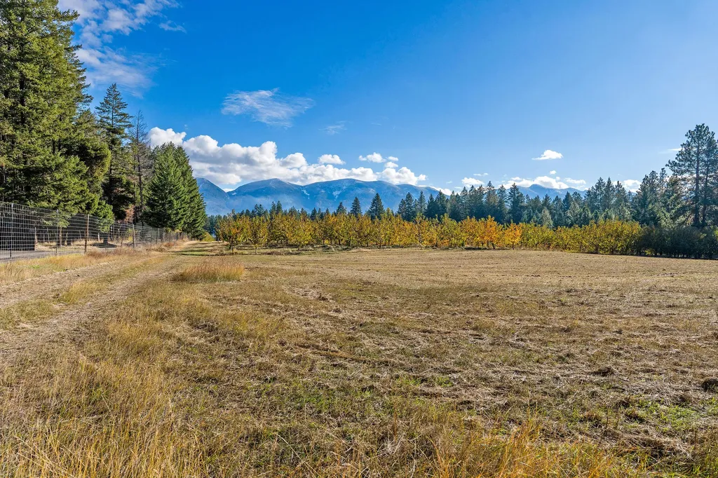 34310 Sweet Cherry Lane Polson MT 59860