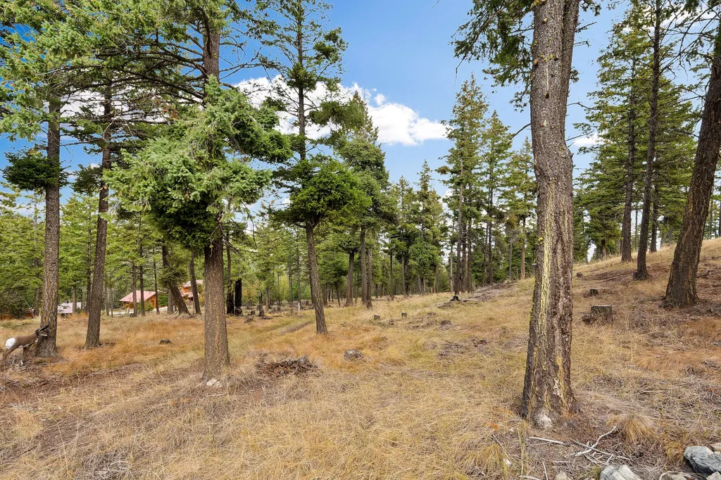395 Buffalo Lane Somers MT 59932