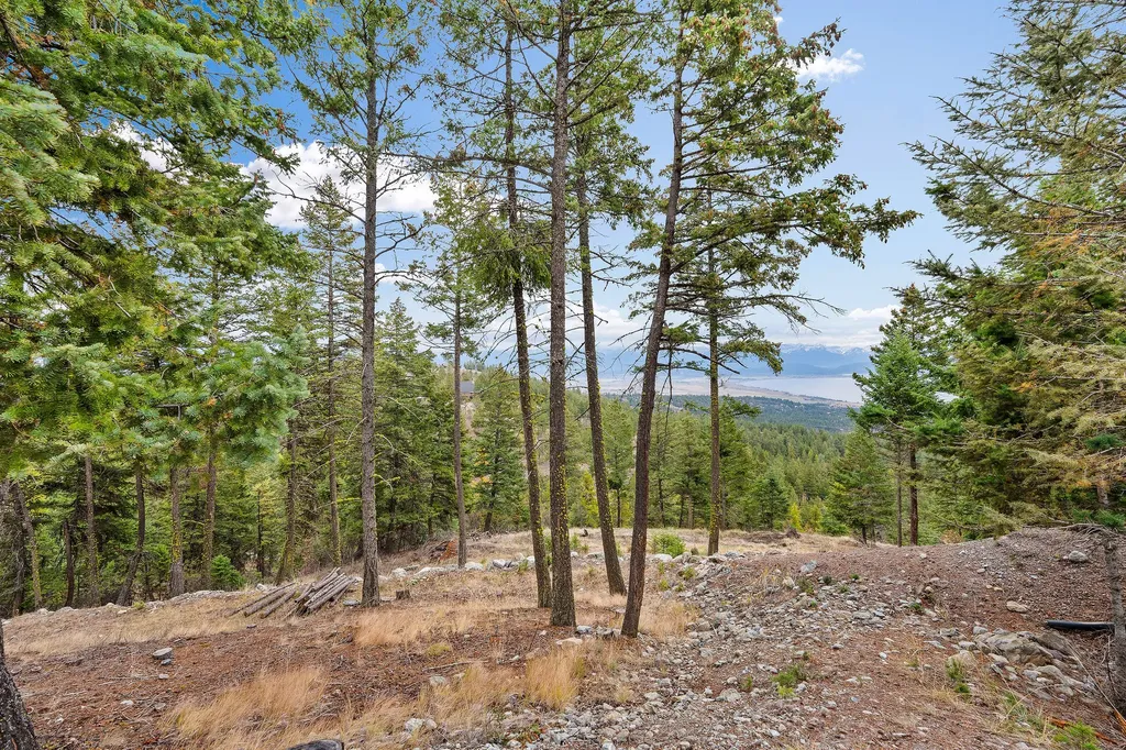 395 Buffalo Lane Somers MT 59932