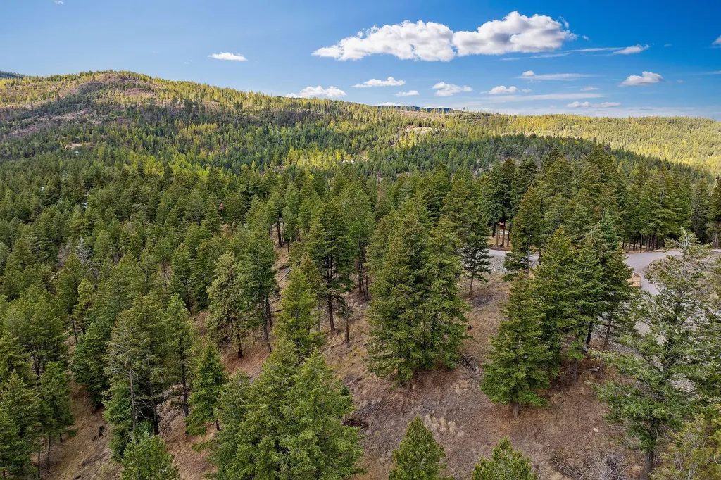 395 Buffalo Lane Somers MT 59932