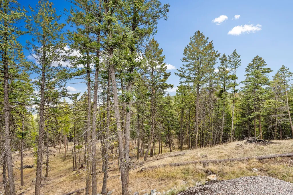 395 Buffalo Lane Somers MT 59932