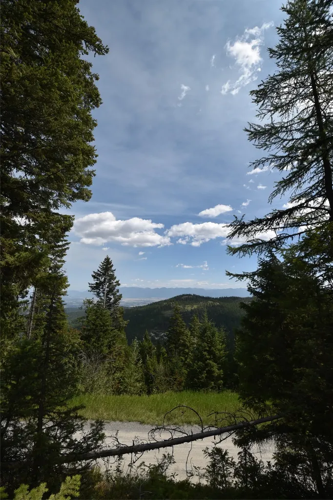 2470 Emmons Creek Road Kalispell MT 59901