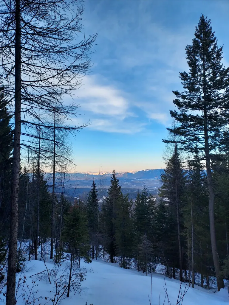 2470 Emmons Creek Road Kalispell MT 59901