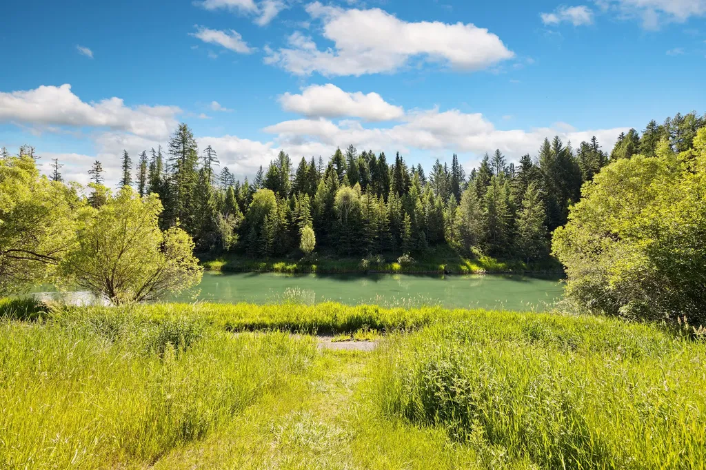 713 Clearwater Drive Whitefish MT 59937