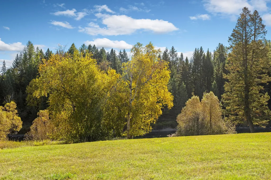 713 Clearwater Drive Whitefish MT 59937