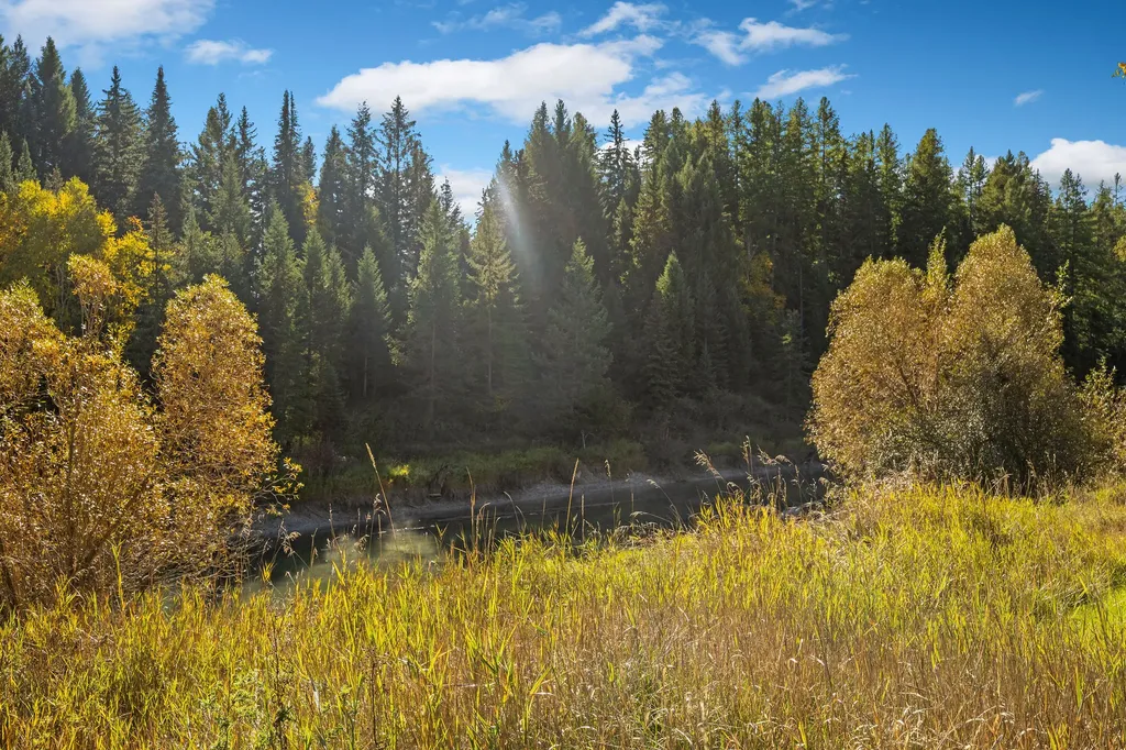 713 Clearwater Drive Whitefish MT 59937