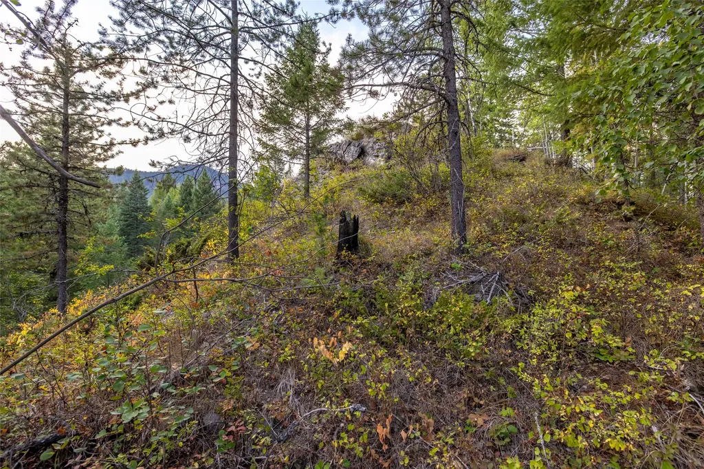 295 Tally Lake Road Whitefish MT 59937